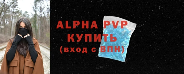 стафф Арсеньев