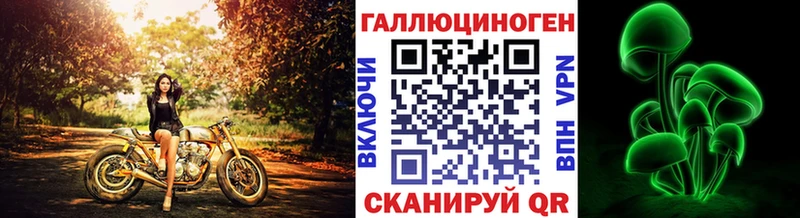 Галлюциногенные грибы GOLDEN TEACHER  Купить  Мамоново 